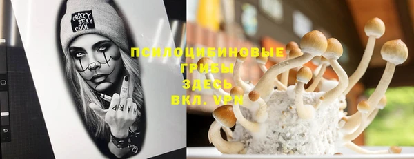 хмурый Нязепетровск