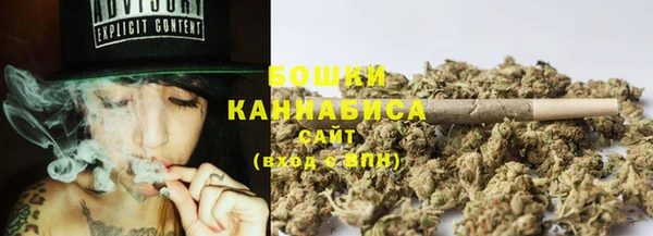сатива Новодвинск