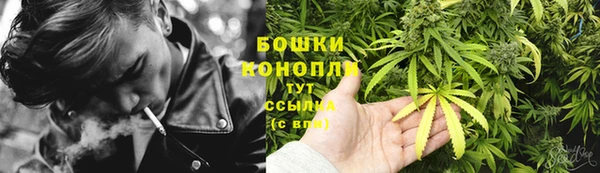 бошки Болхов