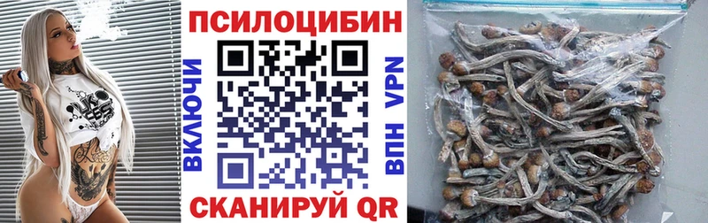 Галлюциногенные грибы GOLDEN TEACHER  МЕГА маркетплейс  Камбарка 